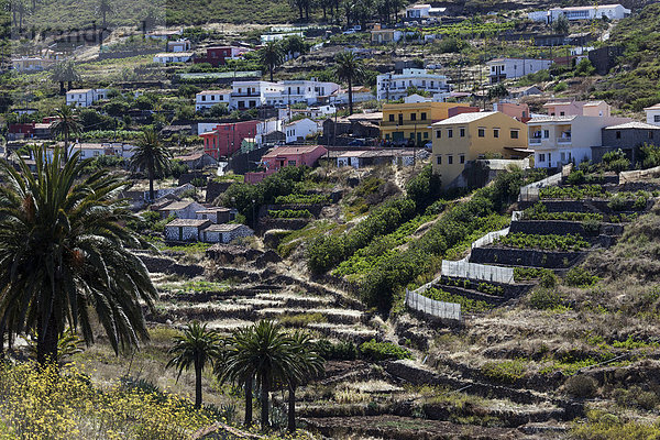 Häuser und Terrassenfelder  El Cercado  La Gomera  Kanarische Inseln  Spanien  Europa