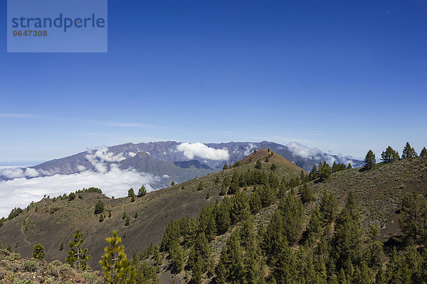 'Vulkanlandschaft  dahinter Caldera de Taburiente  ''Ruta de los Volcanes''  Wanderweg  Vulkanroute  Naturpark Cumbre Vieja  La Palma  Kanarische Inseln  Spanien  Europa'