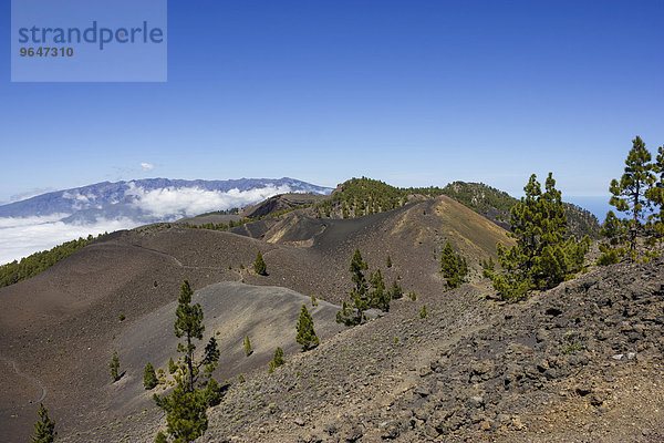 'Blick über Vulkane  Vulkanlandschaft  dahinter Caldera de Taburiente  ''Ruta de los Volcanes''  Wanderweg  Vulkanroute  Naturpark Cumbre Vieja  La Palma  Kanarische Inseln  Spanien  Europa'