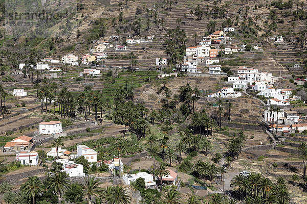 Ausblick vom Mirador Cesar Manrique auf Terrassenfelder und Häuser von La Vizcaina  Valle Gran Rey  La Gomera  Kanarische Inseln  Spanien  Europa