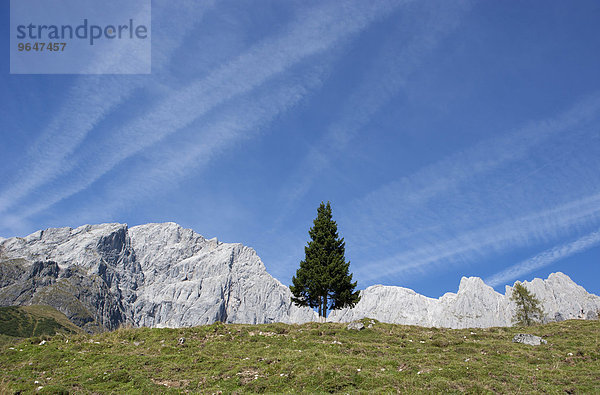 Almlandschaft mit Hochkönig  Wandergebiet  Mühlbach am Hochkönig  Land Salzburg  Österreich  Europa