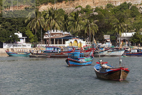 Fischerboote in der Bucht von Vinh Hy  Südchinesisches Meer  Vietnam  Asien
