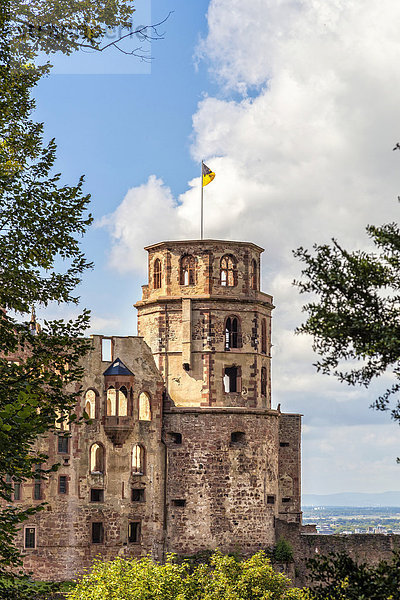Das Heidelberger Schloss  Heidelberg  Baden-Würtemberg  Deutschland  Europa