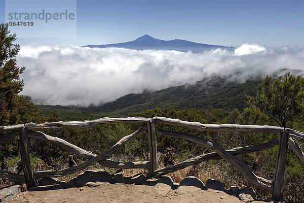 Ausblick unterhalb des Garajonay auf den Bosque del Cedro  Passatwolken und den Teide auf Teneriffa  La Gomera  Kanarische Inseln  Spanien  Europa