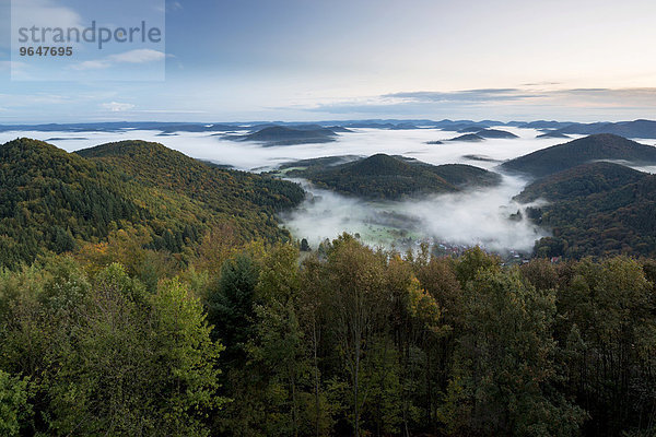 Ausblick auf den Pfälzerwald von der Ruine Wegelnburg  Morgenstimmung  bei Nothweiler  Rheinland-Pfalz  Deutschland  Europa