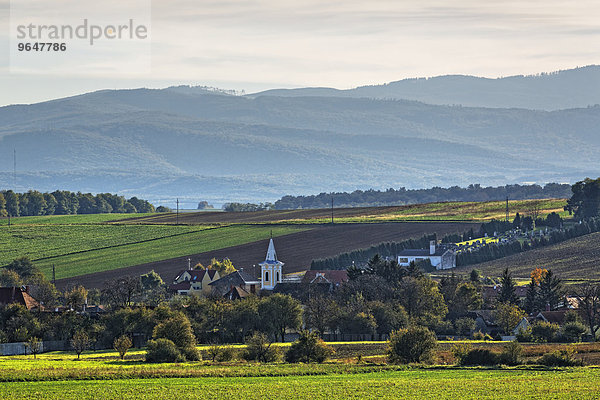 Ortsansicht  Kroatisch Geresdorf  Mittelburgenland  Burgenland  Österreich  Europa