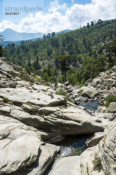 Gumpen im Fluss Golo  Regionaler Naturpark Korsika  Parc naturel régional de Corse  Korsika  Frankreich  Europa