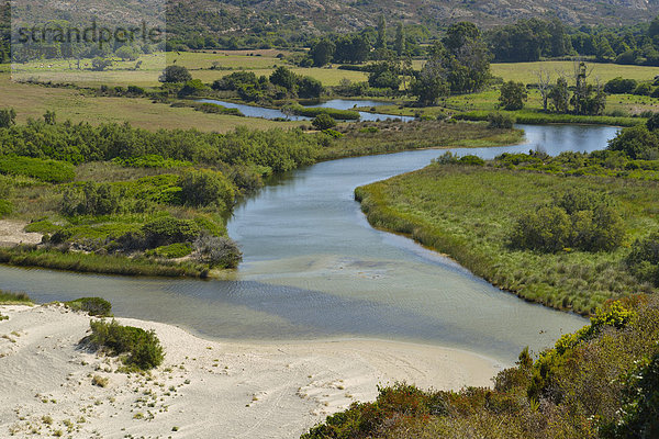 Mündung  Fluß Ostriconi  bei Calvi  Corse-du-Sud  Korsika  Frankreich  Europa