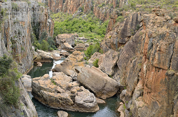 Bourke's Luck Potholes  Felsformation aus Dolomitgestein  Blyde River Canyon Nature Reserve  Mpumalanga  Südafrika