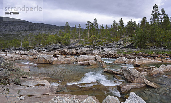 Felsen und Steine im Gebirgsfluss Luonosjåhkå im Saltdal  nahe dem Polarkreis  Norwegen  Europa