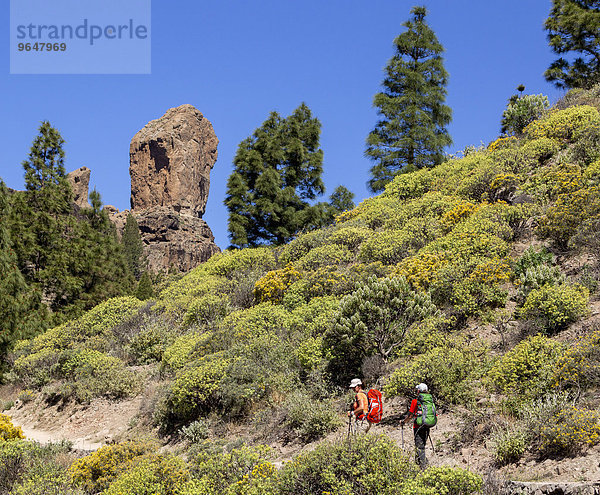Wanderer auf dem Weg zum Roque Nublo oder Wolkenfels  Gran Canaria  Kanaren  Spanien  Europa