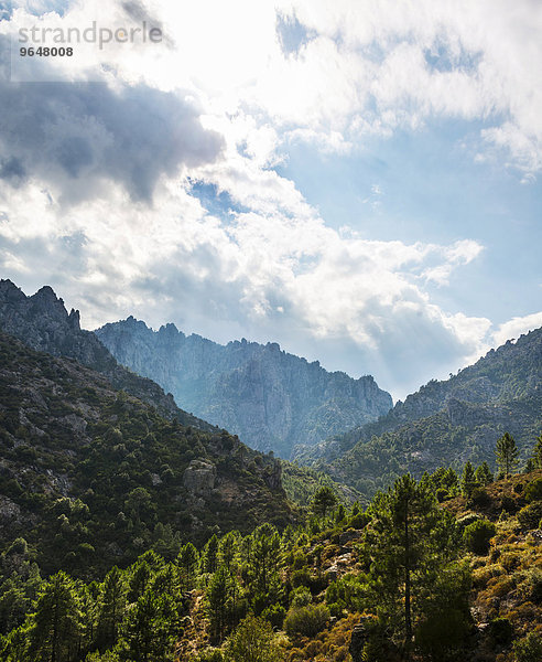 Wolken über bewaldeten Berge  Corte  Département Haute-Corse  Korsika  Frankreich  Europa