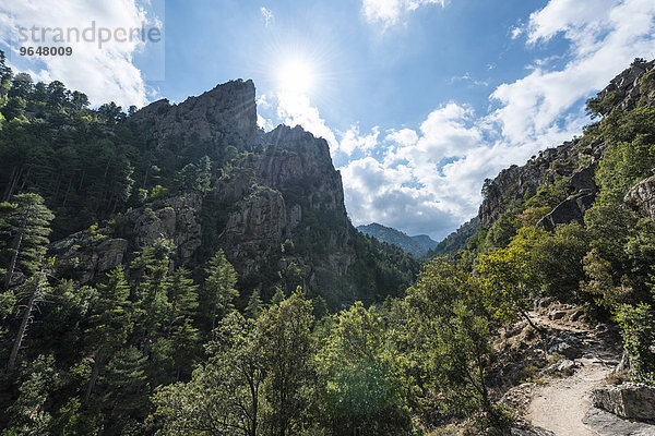 Wanderweg entlang des Tals und des Flussbettes des Tavignano  Corte  Département Haute-Corse  Korsika  Frankreich  Europa