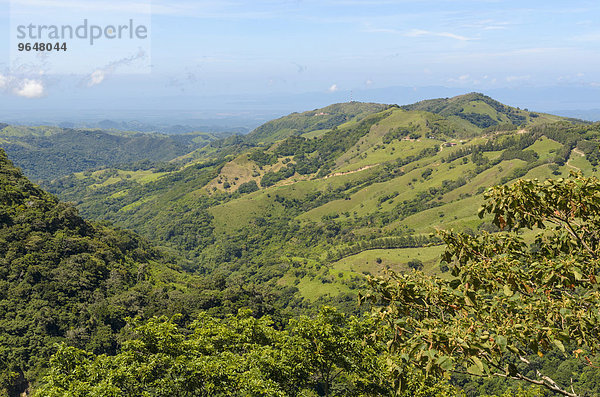Hochland von Monteverde  Provinz Puntarenas  Costa Rica  Nordamerika
