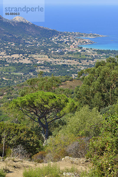 Die Bucht von Calvi  Balagne  Haute-Corse  Korsika  Frankreich  Europa