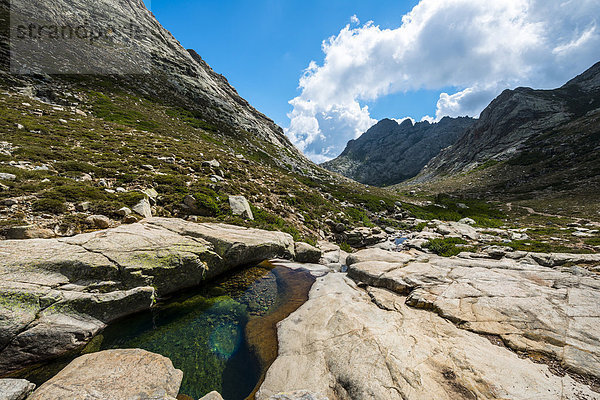 Gumpe im Gebirge  Fluss Golo  Regionaler Naturpark Korsika  Parc naturel régional de Corse  Korsika  Frankreich  Europa