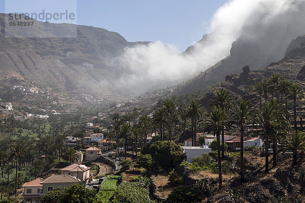 Kanarische Dattelpalmen (Phoenix canariensis)  Passatwolken und die Ortschaften im Valle Gran Rey  La Gomera  Kanarische Inseln  Spanien  Europa