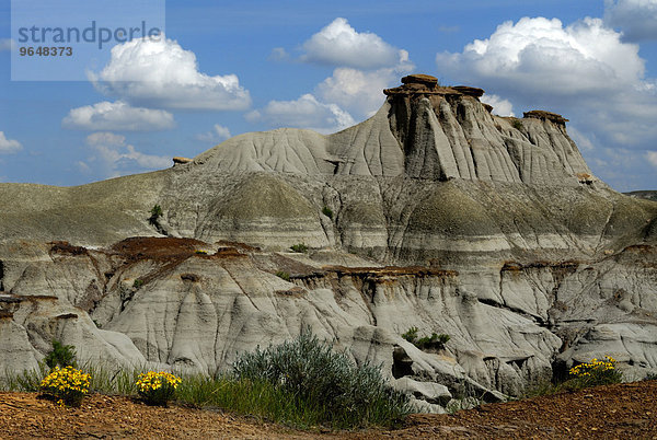 Badlands  erodierte Steinformation aus Sedimentgestein  Dinosaurier-Provinzpark  UNESCO Weltnaturerbe  Alberta  Kanada  Nordamerika
