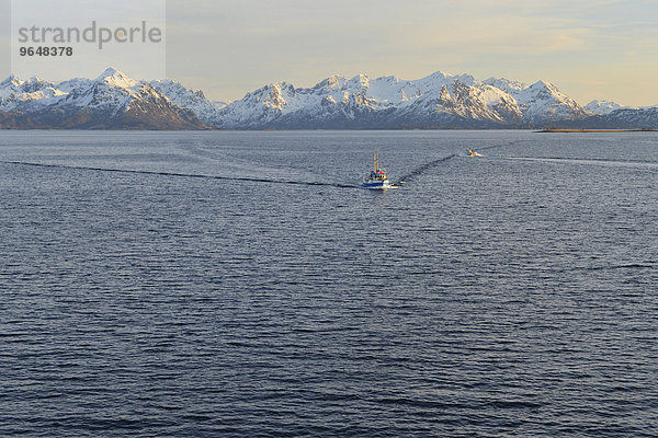Schiff auf dem Sortlandsund  hinten schneebedeckte Berggipfel  Sortlandsund  Nordland  Vesterålen  Norwegen  Europa