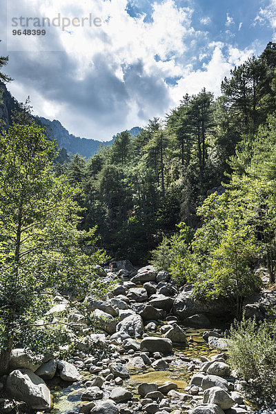 Flussbett des Tavignano  Corte  Département Haute-Corse  Korsika  Frankreich  Europa