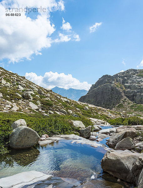 Gumpe im Gebirge  Fluss Golo  Regionaler Naturpark Korsika  Parc naturel régional de Corse  Korsika  Frankreich  Europa