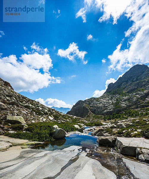 Gumpe im Gebirge  Fluss Golo  Regionaler Naturpark Korsika  Parc naturel régional de Corse  Korsika  Frankreich  Europa