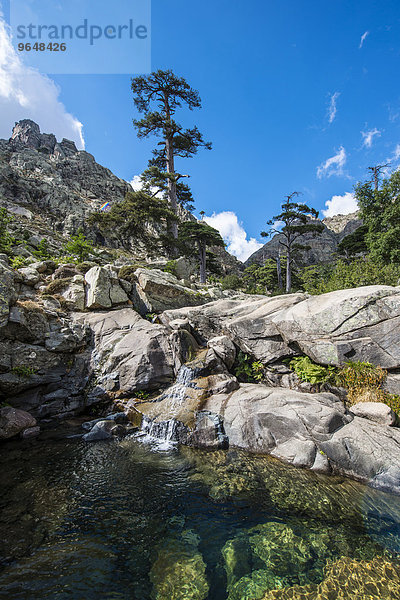 Gumpe und kleiner Wasserfall im Gebirge  am Fluss Golo  Regionaler Naturpark Korsika  Parc naturel régional de Corse  Korsika  Frankreich  Europa