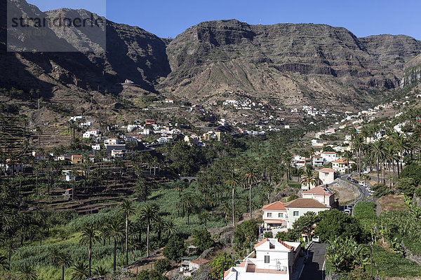 Kanarische Dattelpalmen (Phoenix canariensis)  Terrassenfelder und die Ortschaften im Valle Gran Rey  La Gomera  Kanarische Inseln  Spanien  Europa