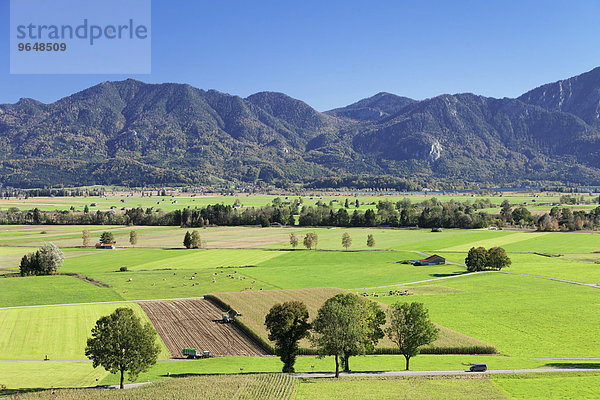 Ausblick über das Kochelmoos  Oberbayern  Bayern  Deutschland  Europa