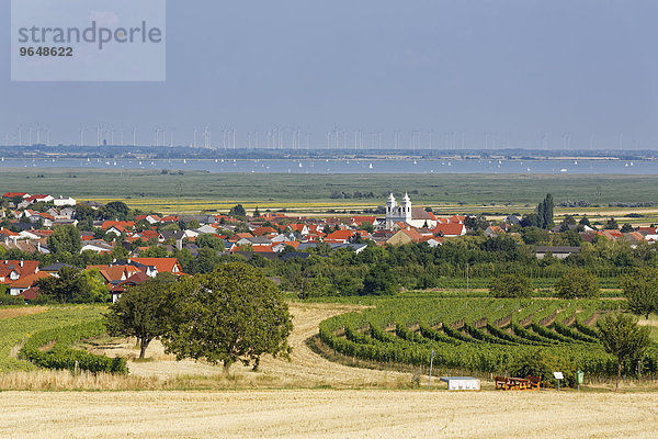 Ortsansicht  Winden am See  Neusiedler See  Nordburgenland  Burgenland  Österreich  Europa