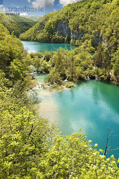 Plitvicer Seen  UNESCO Weltnaturerbe  Nationalpark Plitvicer Seen  Kroatien  Europa