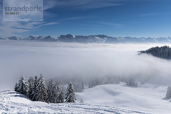Allgäuer Alpen mit verschneitem Winterwald und Nebel im Tal  Ofterschwang  Oberallgäu  Bayern  Deutschland  Europa