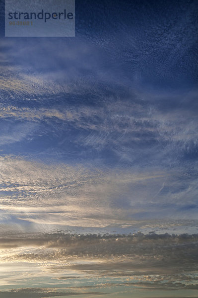 Abendlicher Wolkenhimmel  Altocumulus stratiformis