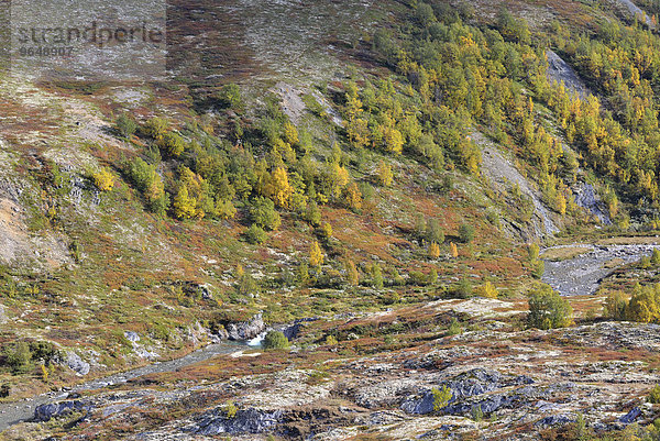 Fjelllandschaft im Herbst  Rondane-Nationalpark  Norwegen  Europa