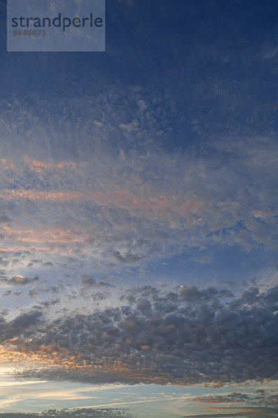 Abendlicher Wolkenhimmel  Altocumulus stratiformis