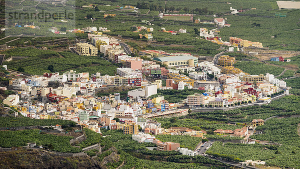 Ortschaft  umgeben von Bananenplantagen  Tazacorte  La Palma  Kanarische Inseln  Spanien  Europa