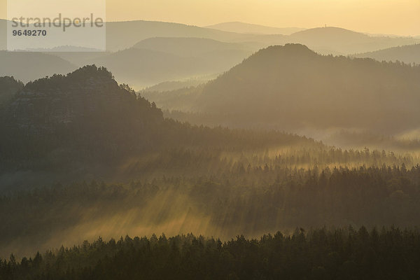 Nebel und Dunst am Morgen im Elbsandsteingebirge  Sächsische Schweiz  Sachsen  Deutschland  Europa