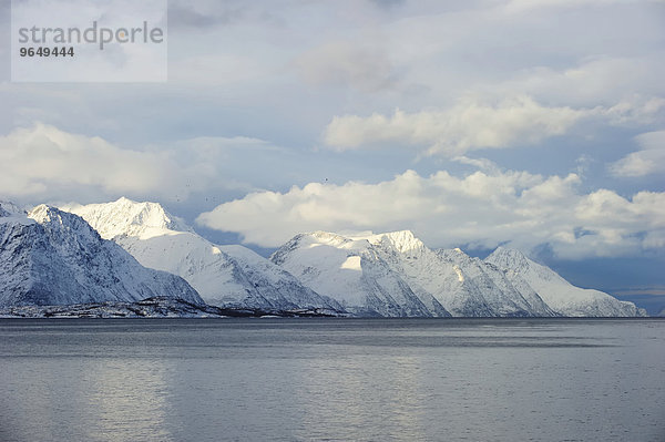 Berglandschaft  Lyngenfjord  Troms  Norwegen  Europa