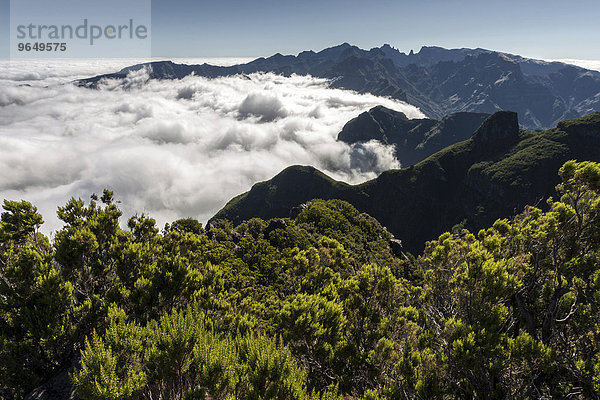 Ausblick auf die Bergwelt des Parque Natural da Madeira  Passatwolken stauen sich an den Berghängen  Madeira  Portugal  Europa