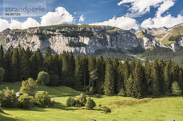 Gebirgsmassiv Flimserstein  Tektonikarena Sardona  UNESCO Weltnaturerbe  Flims  Graubünden  Schweiz  Europa