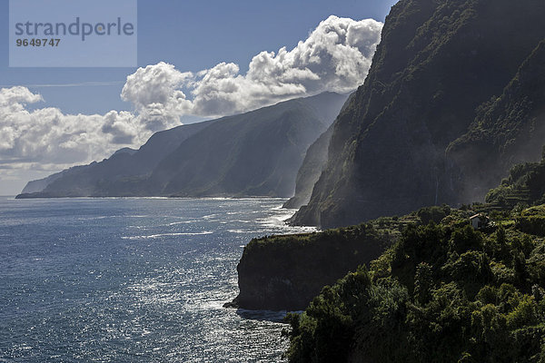 Steilküste  bei Seixal  Madeira  Portugal  Europa