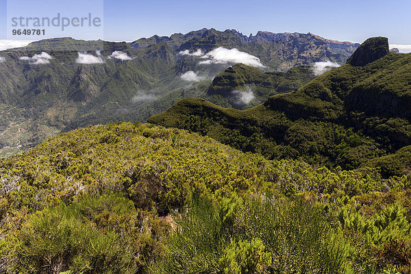 Ausblick auf die Bergwelt des Parque Natural da Madeira  Madeira  Portugal  Europa