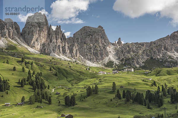 Grödner Joch  Passo Gardena  2121m  hinten Puezgruppe mit den Cirspitzen  Naturpark Puez-Geisler  Dolomiten  Selva di Val Gardena  Südtirol  Trentino-Alto Adige  Italien  Europa