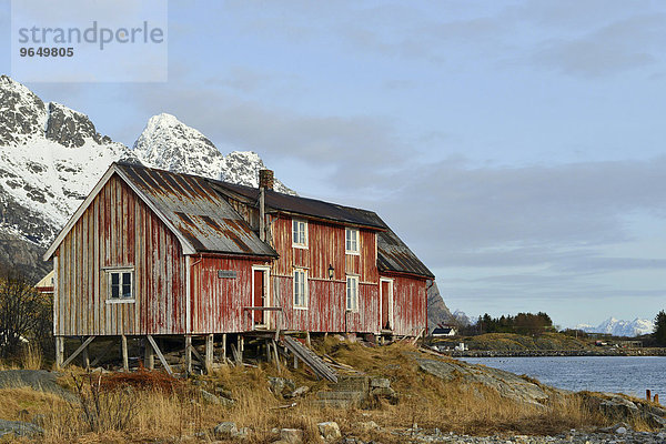 Altes Holzhaus am Ufer des Meeres  Henningsvær  Lofoten  Nordland  Norwegen  Europa