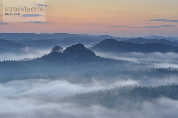 Ausblick vom Kleinen Winterberg zu den Lorenzsteinen zur Morgendämmerung  Elbsandsteingebirge  Sächsische Schweiz  Sachsen  Deutschland  Europa