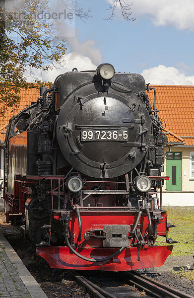 Dampflok der Harzer Schmalspurbahn  Brockenbahn  im Bahnhof  Wernigerode  Sachsen-Anhalt  Deutschland  Europa