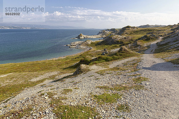 Wanderweg am Porsangerfjord  Trollholmsund  bei Lakselv  Porsanger  Porsá?gu  Porsanki  Finnmark  Norwegen  Europa