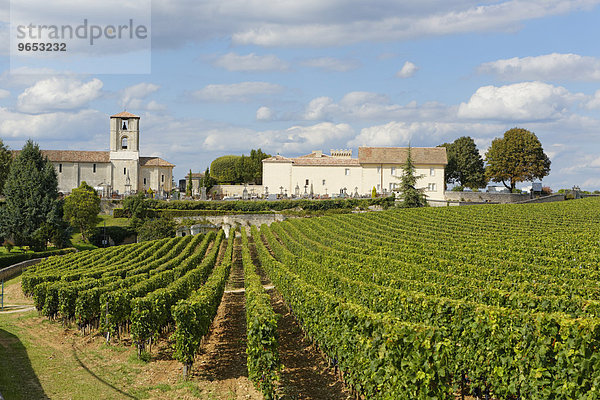 Weingut Chateau Ausone  Saint-Émilion  Département Gironde  Aquitanien  Frankreich  Europa