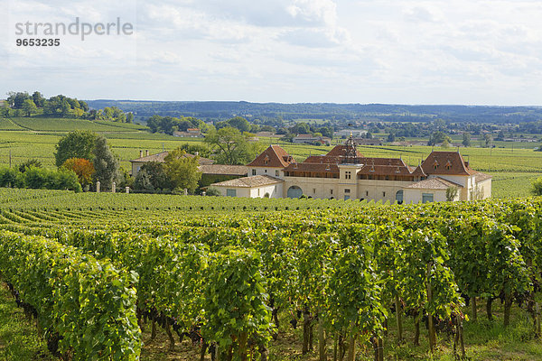 Bordeaux Weinberg und Chateau Angelus  Saint-Émilion  Département Gironde  Aquitanien  Frankreich  Europa