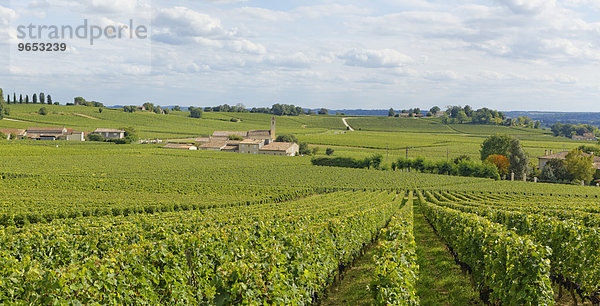Weingut  Saint-Martin de Mazerat  Département Gironde  Aquitanien  Frankreich  Europa